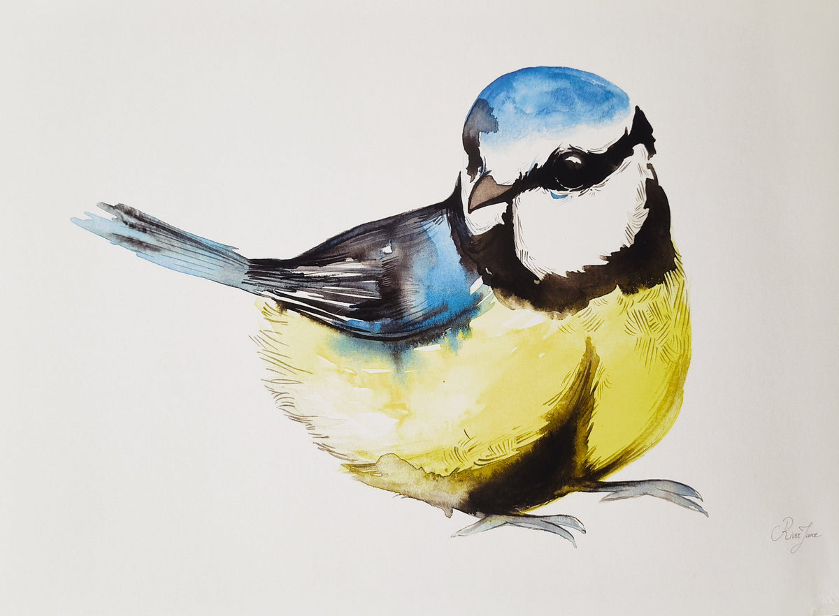 Oiseaux - 8.5 x 11 po - River June