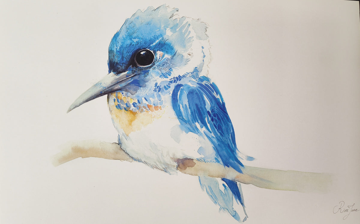 Oiseaux - 8.5 x 11 po - River June