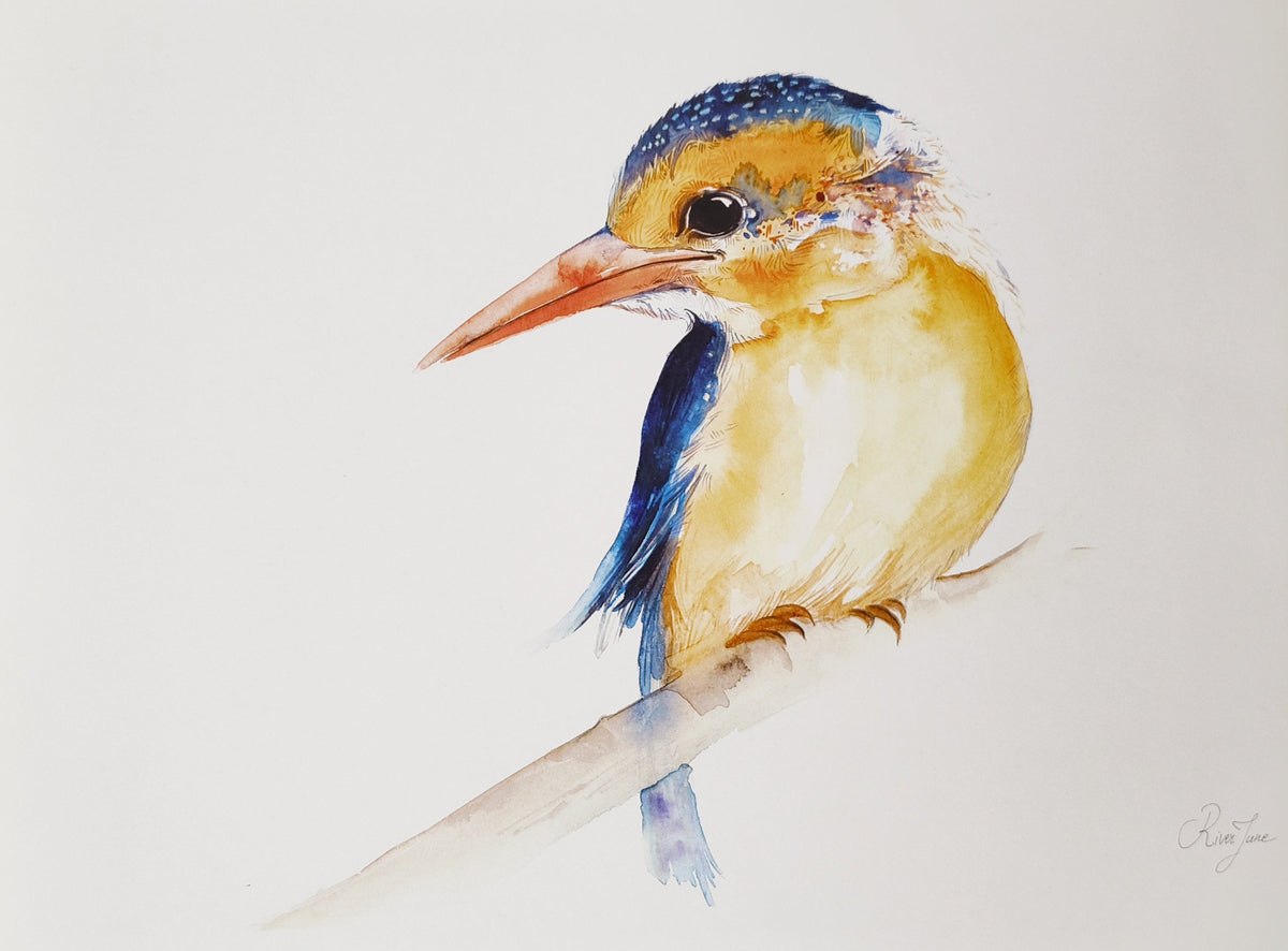 Oiseaux - 8.5 x 11 po - River June