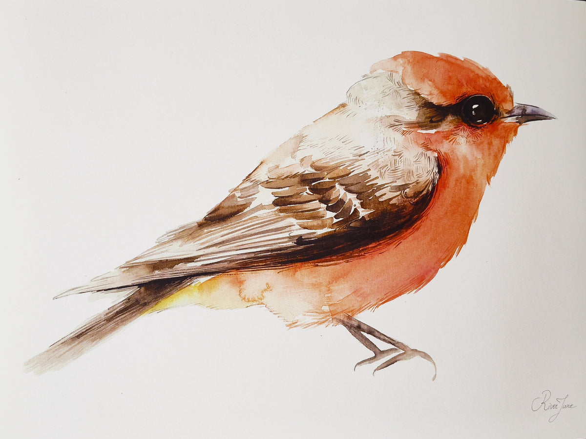 Oiseaux - 8.5 x 11 po - River June
