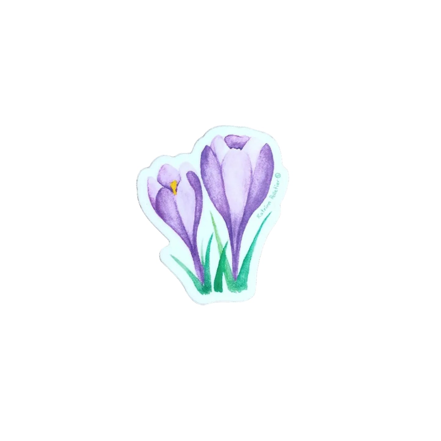 Tulipe mauve