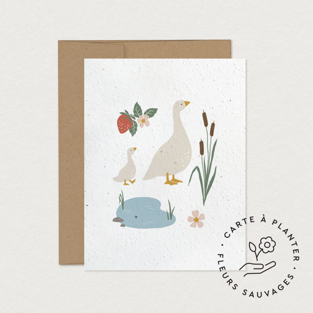 Cartes de souhaits à planter – Mimosa Design
