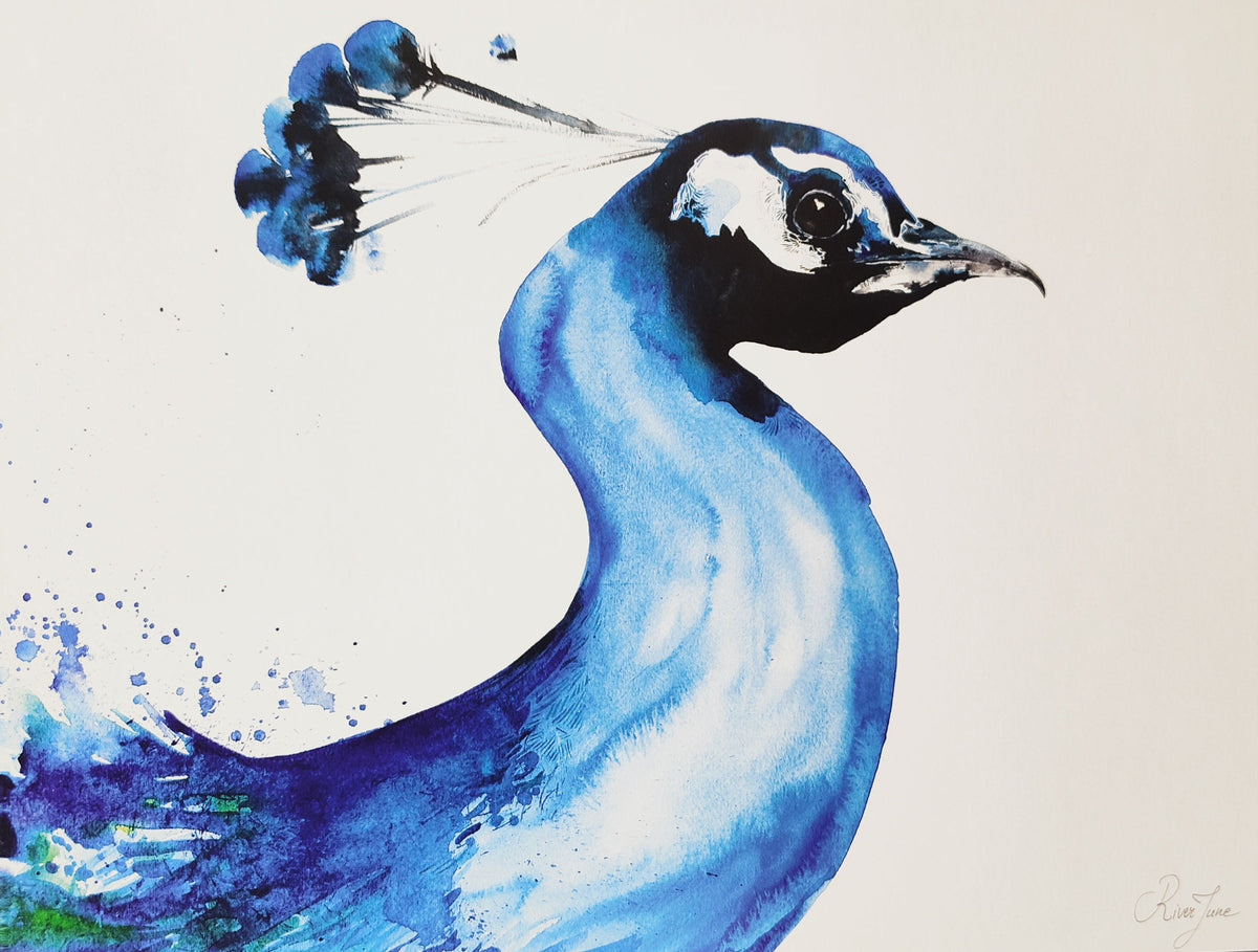 Oiseaux - 8.5 x 11 po - River June