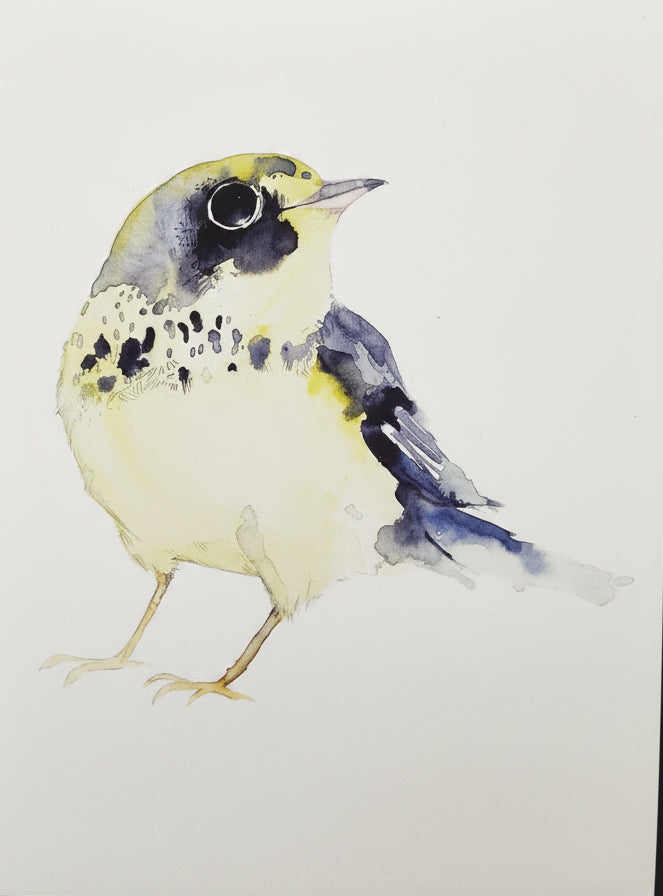 Oiseaux - 8.5 x 11 po - River June