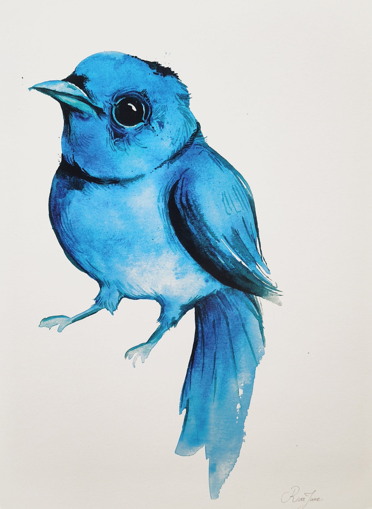 Oiseaux - 8.5 x 11 po - River June