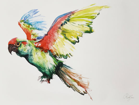 Oiseaux - 8.5 x 11 po - River June