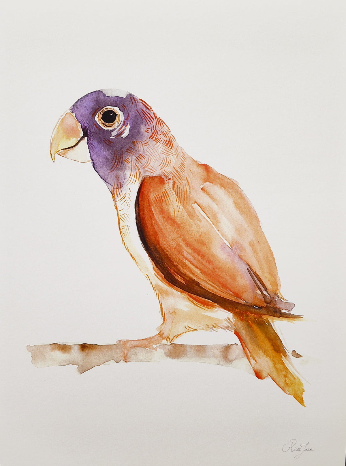 Oiseaux - 8.5 x 11 po - River June