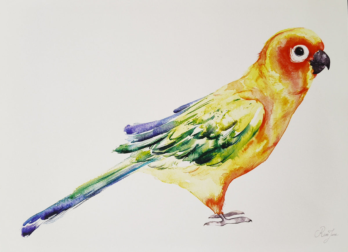Oiseaux - 8.5 x 11 po - River June