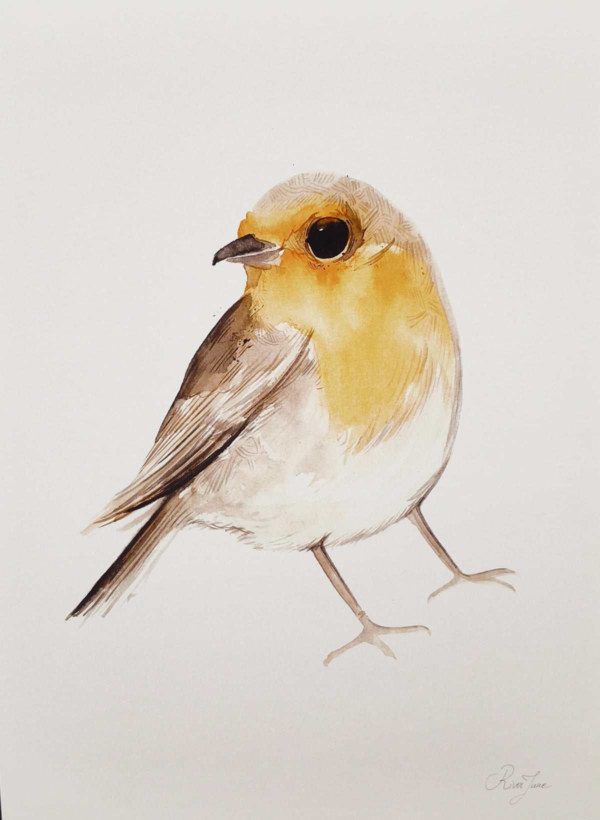 Oiseaux - 8.5 x 11 po - River June