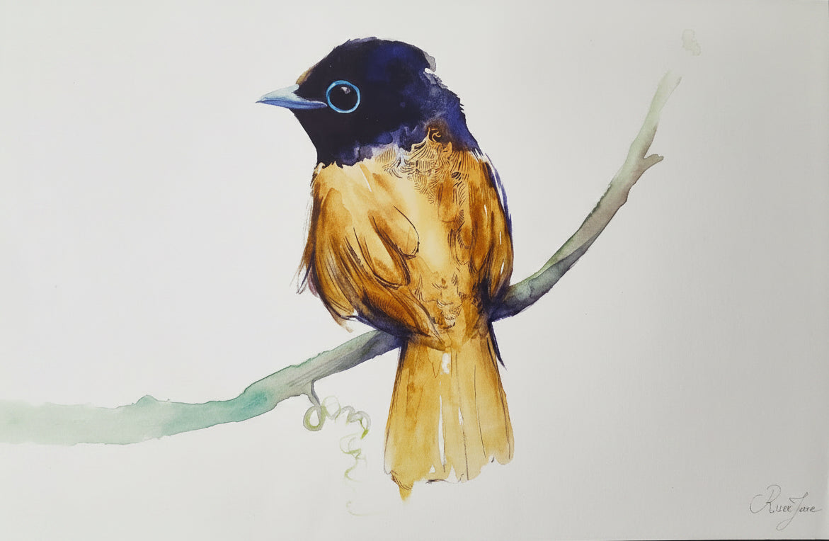 Oiseaux - 8.5 x 11 po - River June