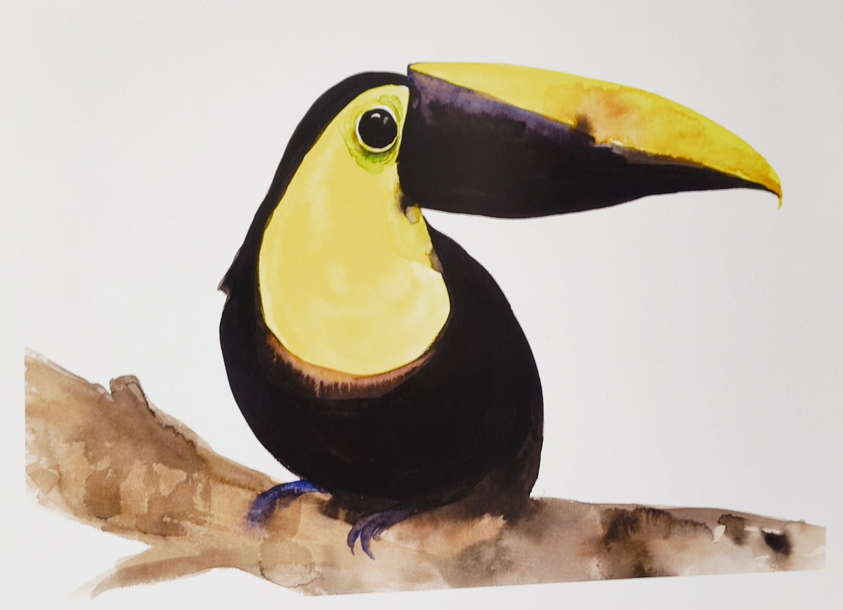 Oiseaux - 8.5 x 11 po - River June