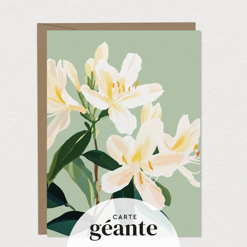Cartes de souhaits géantes – Mimosa Design
