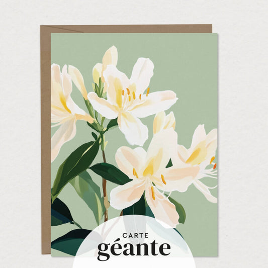 Cartes de souhaits géantes – Mimosa Design