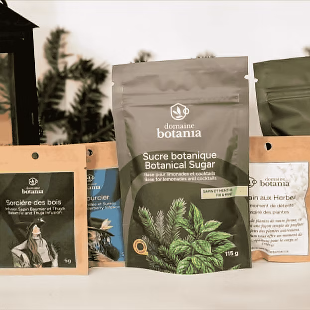 Coffret Forêt Boréale