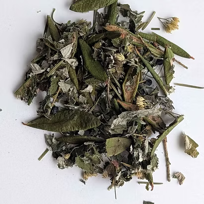 Tisane du Sourcier