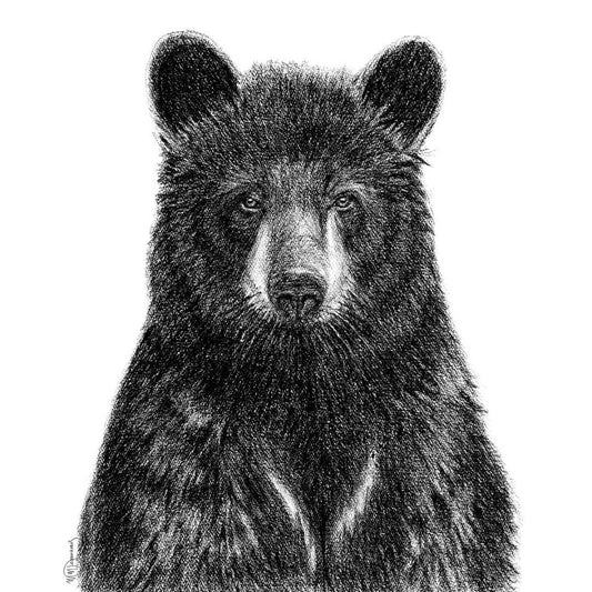 Ours noir - animaux noir et blanc