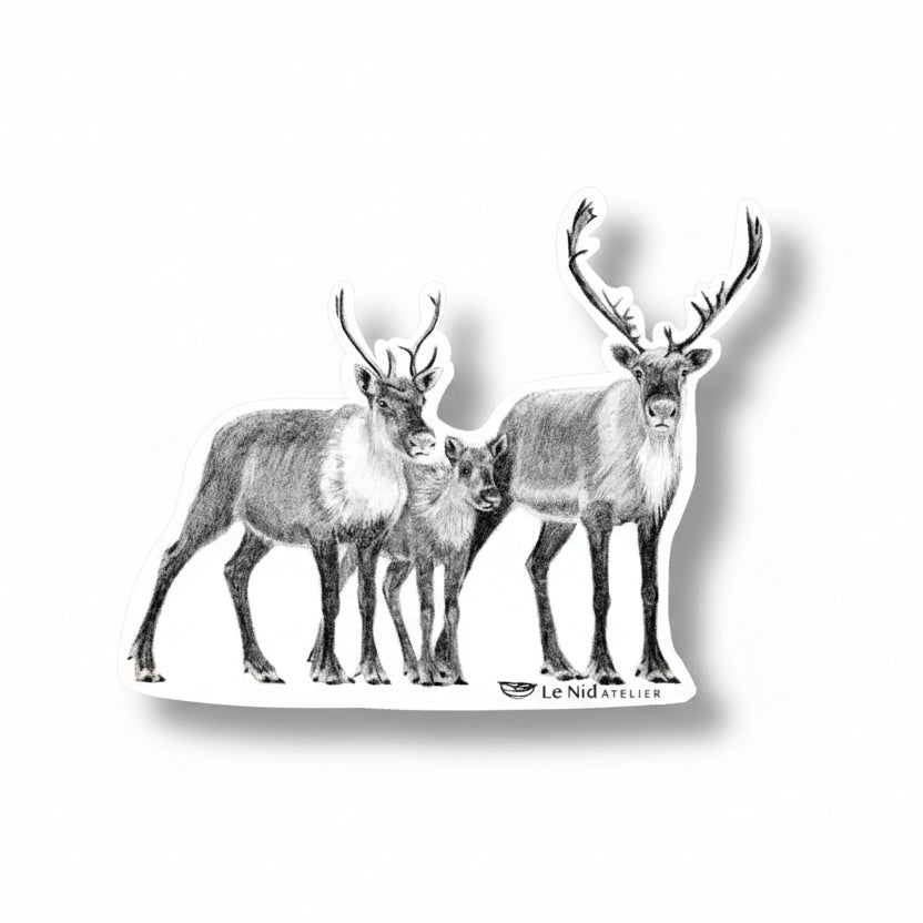 Famille de caribou