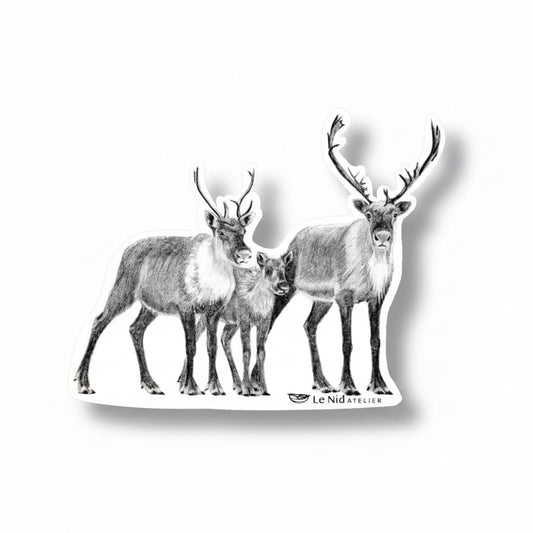 Famille de caribou