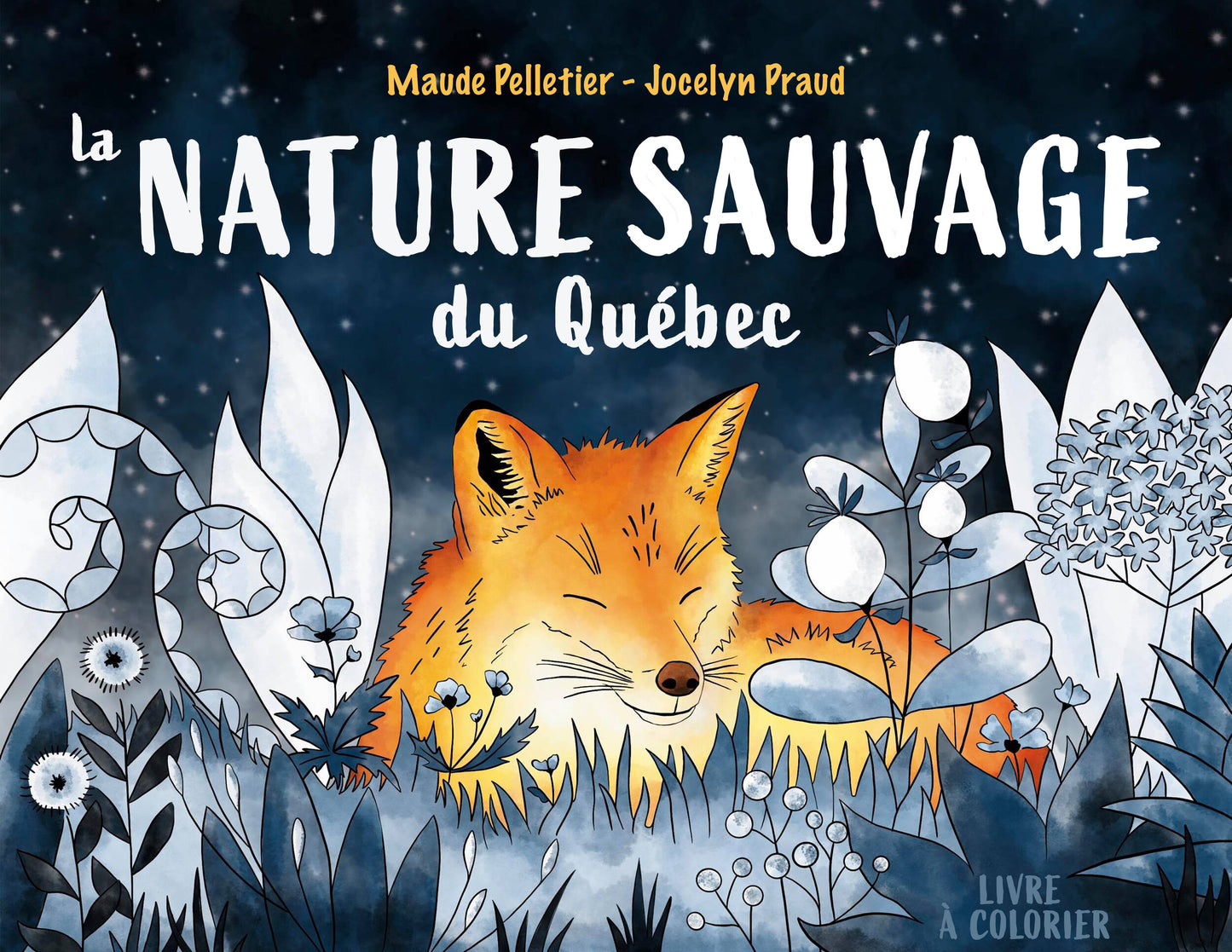 La nature sauvage du Québec - Livre à colorier