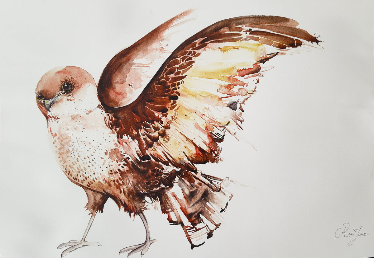 Oiseaux - 8.5 x 11 po - River June
