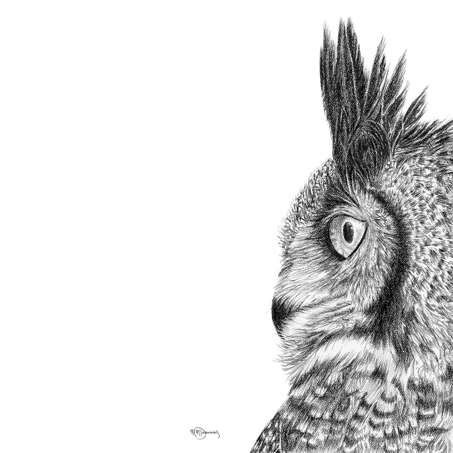 Hibou Grand Duc  -  animaux noir et blanc