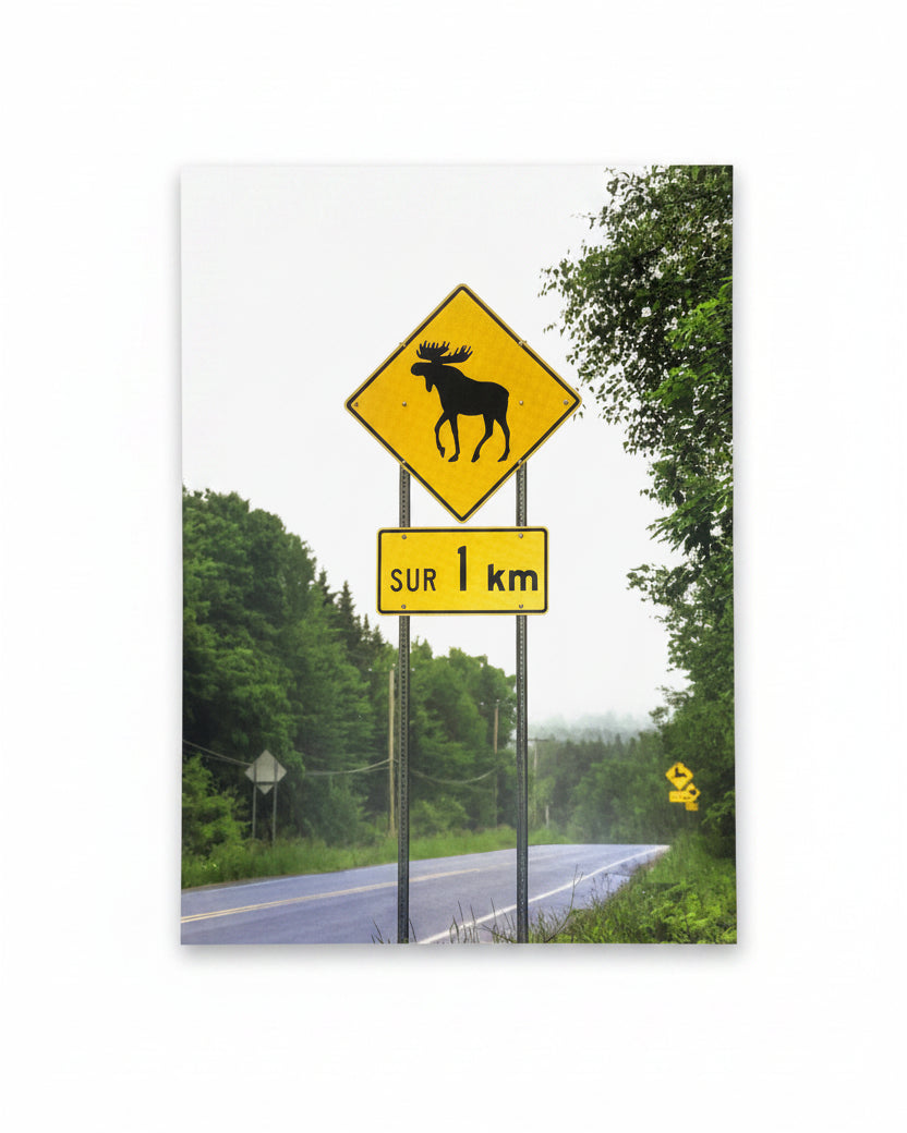 Cartes postales - Jazz K