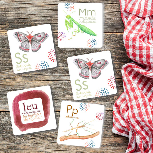 Jeu de mémoire des bestioles du Québec