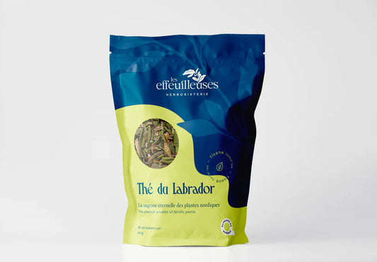Thé du Labrador