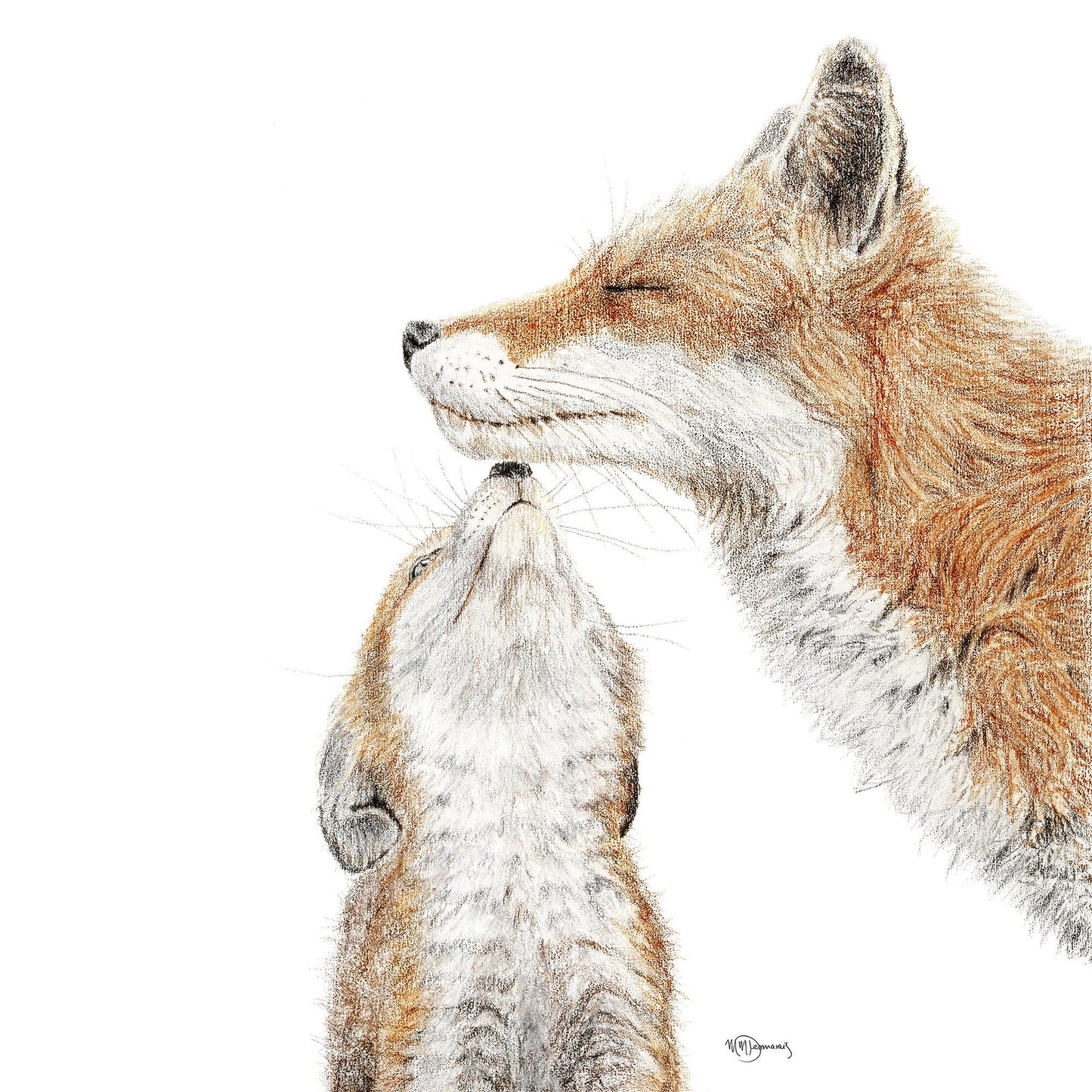 Maman renard avec bébé -  animaux couleur