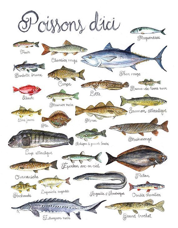 Poissons du Québec