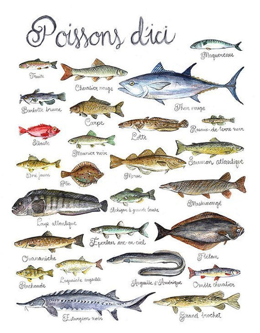 Poissons du Québec