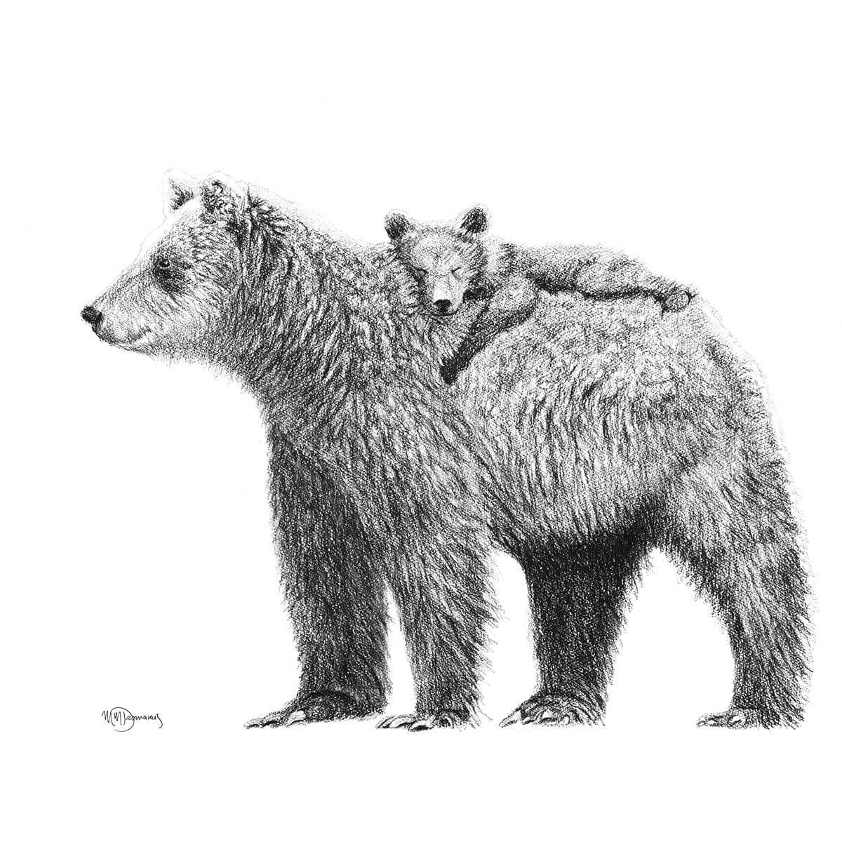 Maman Ours avec bébé -  animaux noir et blanc