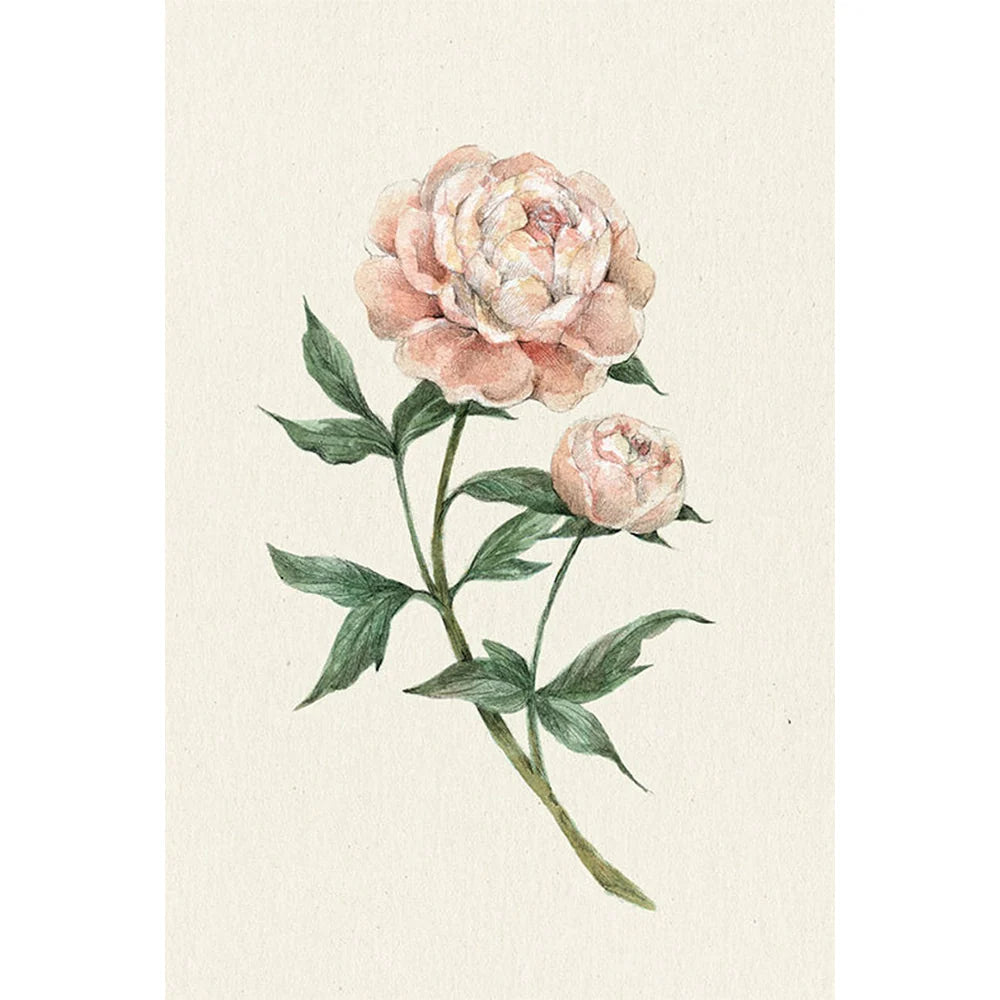Cartes de souhaits - Mathilde Cinq Mars