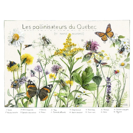 Pollinisateurs du Québec