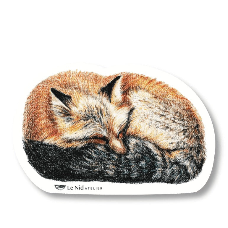 Renard endromi