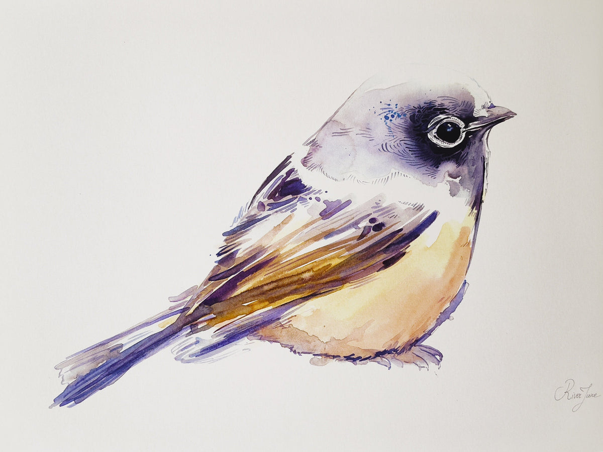 Oiseaux - 8.5 x 11 po - River June