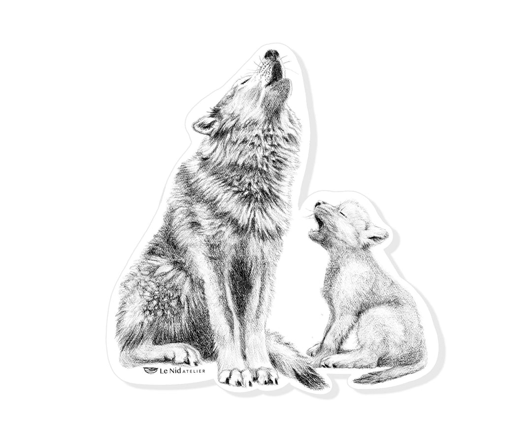 Loups qui hurlent