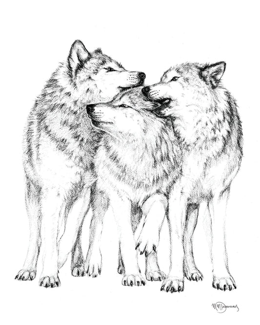 Meute de loups -  animaux noir et blanc